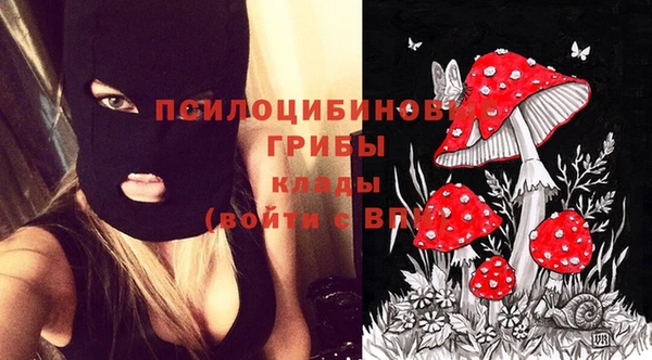 марихуана Абаза