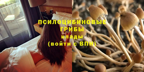 марихуана Абаза