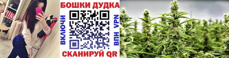 Бошки марихуана Amnesia  Никольское 